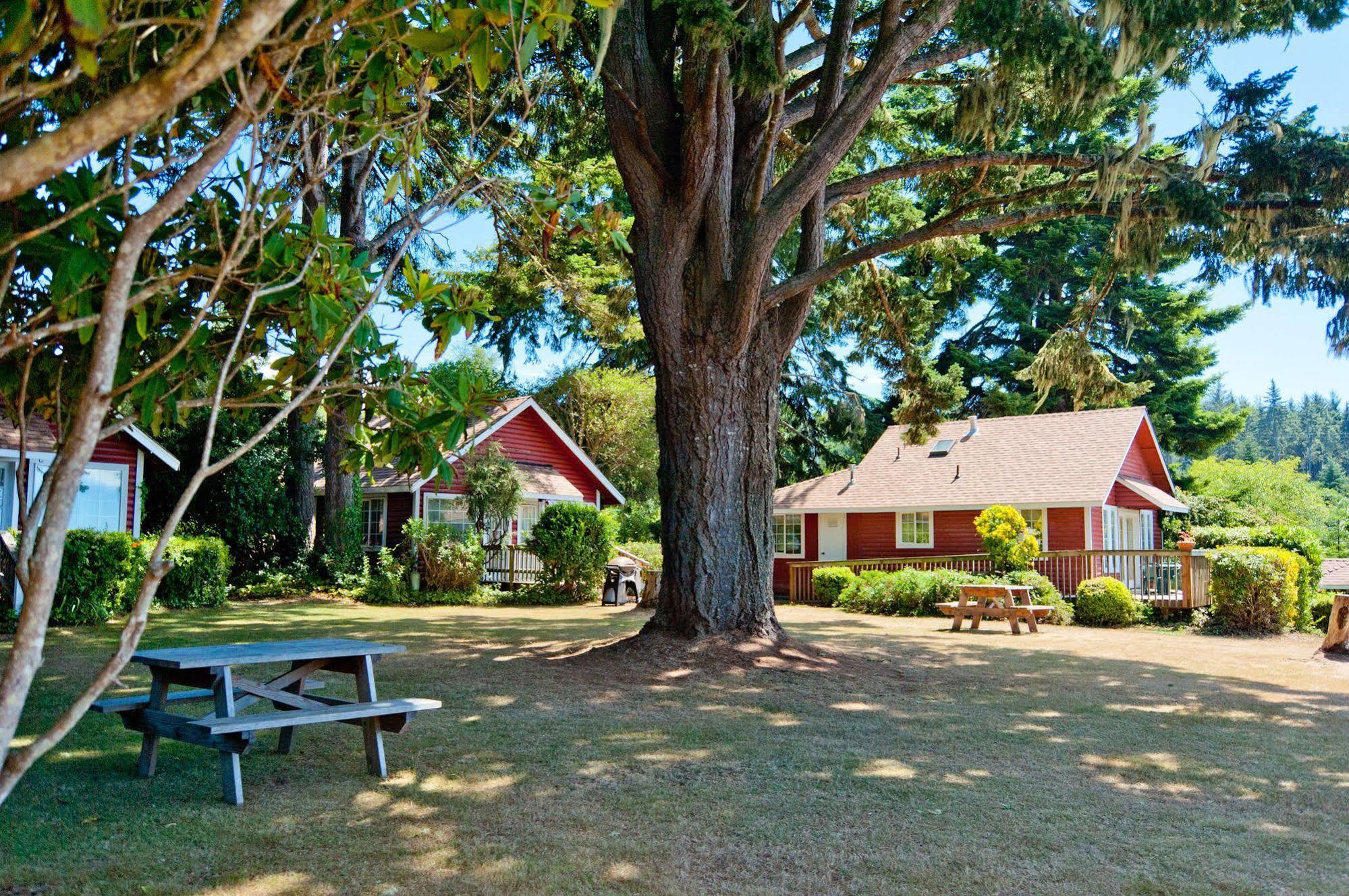 View Crest Lodge Trinidad Exteriör bild